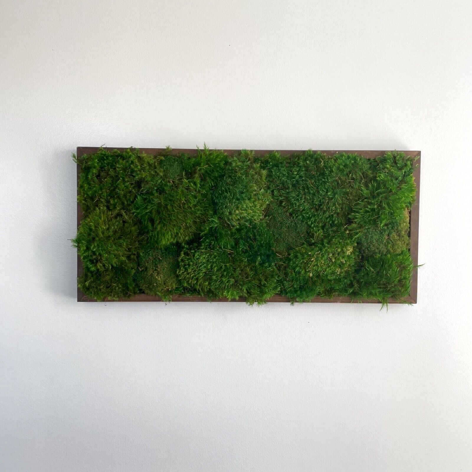 "Elegant Preserved Moss Wall Art - 29x13 Home & Office Decor for a Fresh Touch"