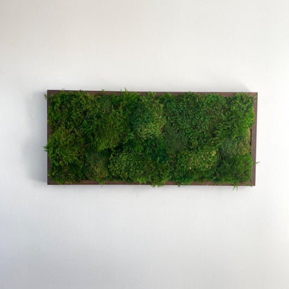 "Elegant Preserved Moss Wall Art - 29x13 Home & Office Decor for a Fresh Touch"