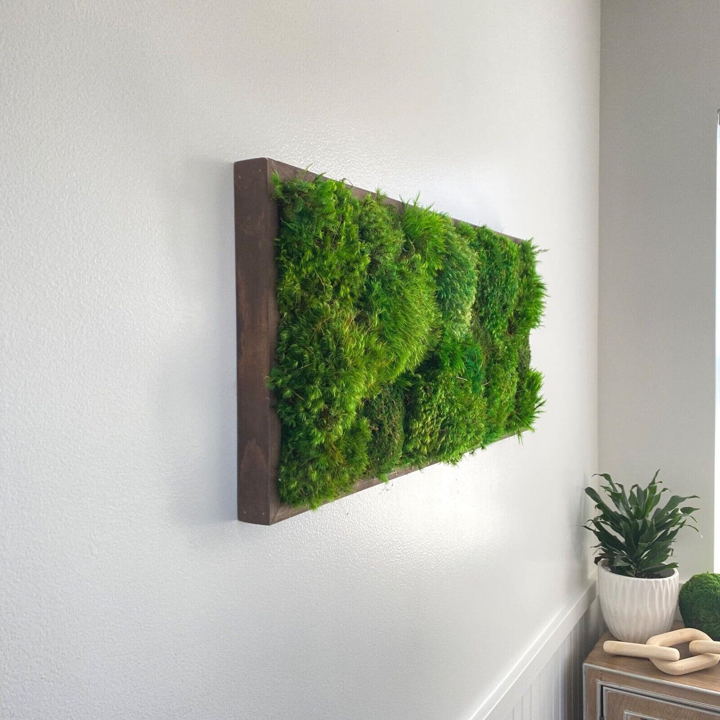 "Elegant Preserved Moss Wall Art - 29x13 Home & Office Decor for a Fresh Touch"